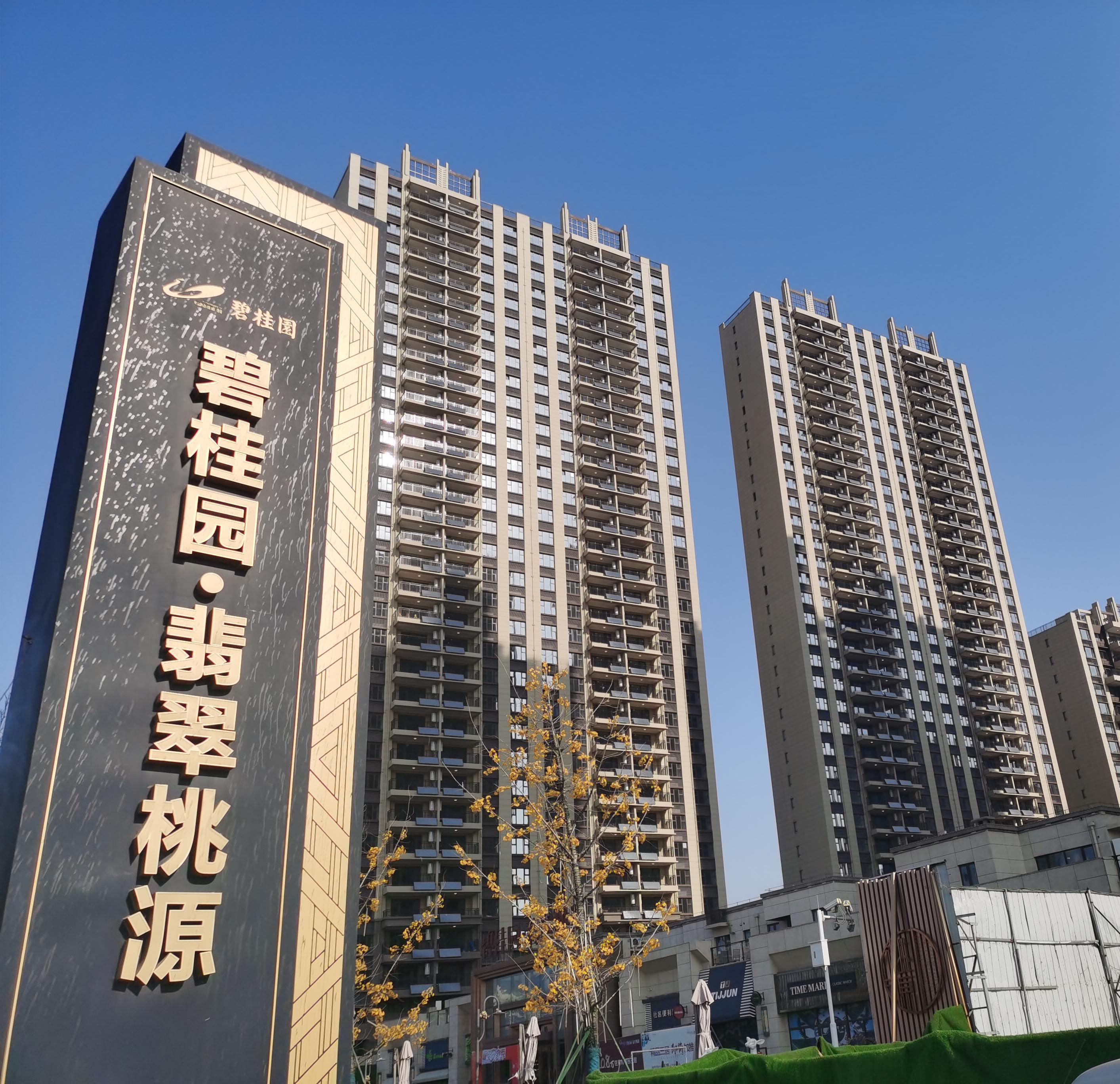日照碧桂园