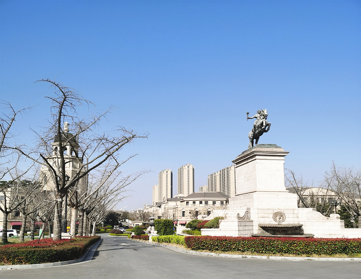 白鹭金岸
